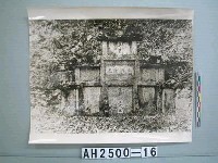 藏品(昌化韓世忠墓照片)的圖片